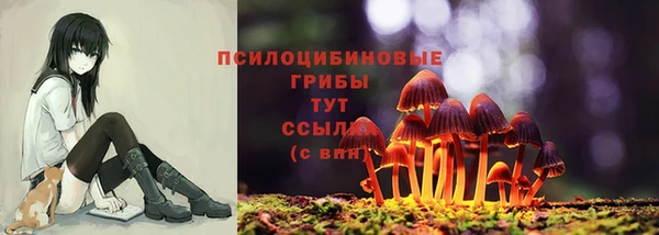 кокс Армянск