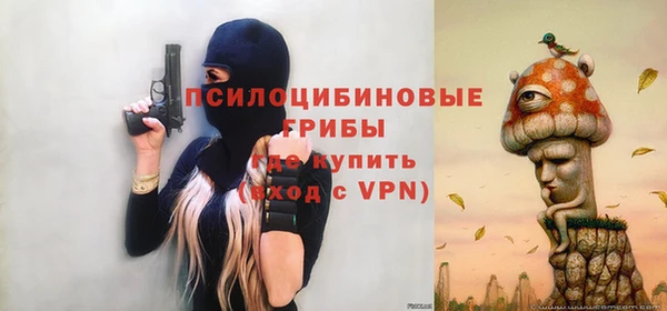 шишки Аркадак