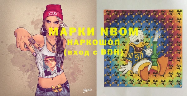 шишки Аркадак