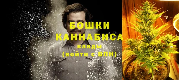 шишки Аркадак