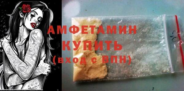 шишки Аркадак