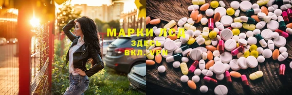 шишки Аркадак